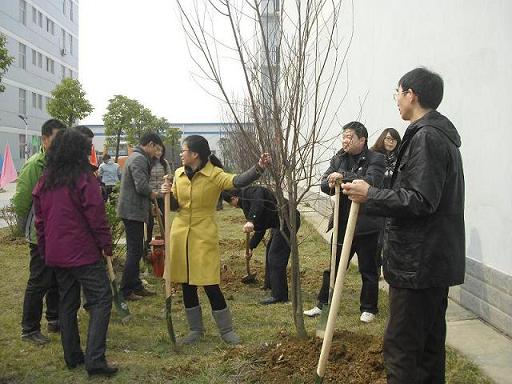 天鸣集团开展“3.12植树节”活动