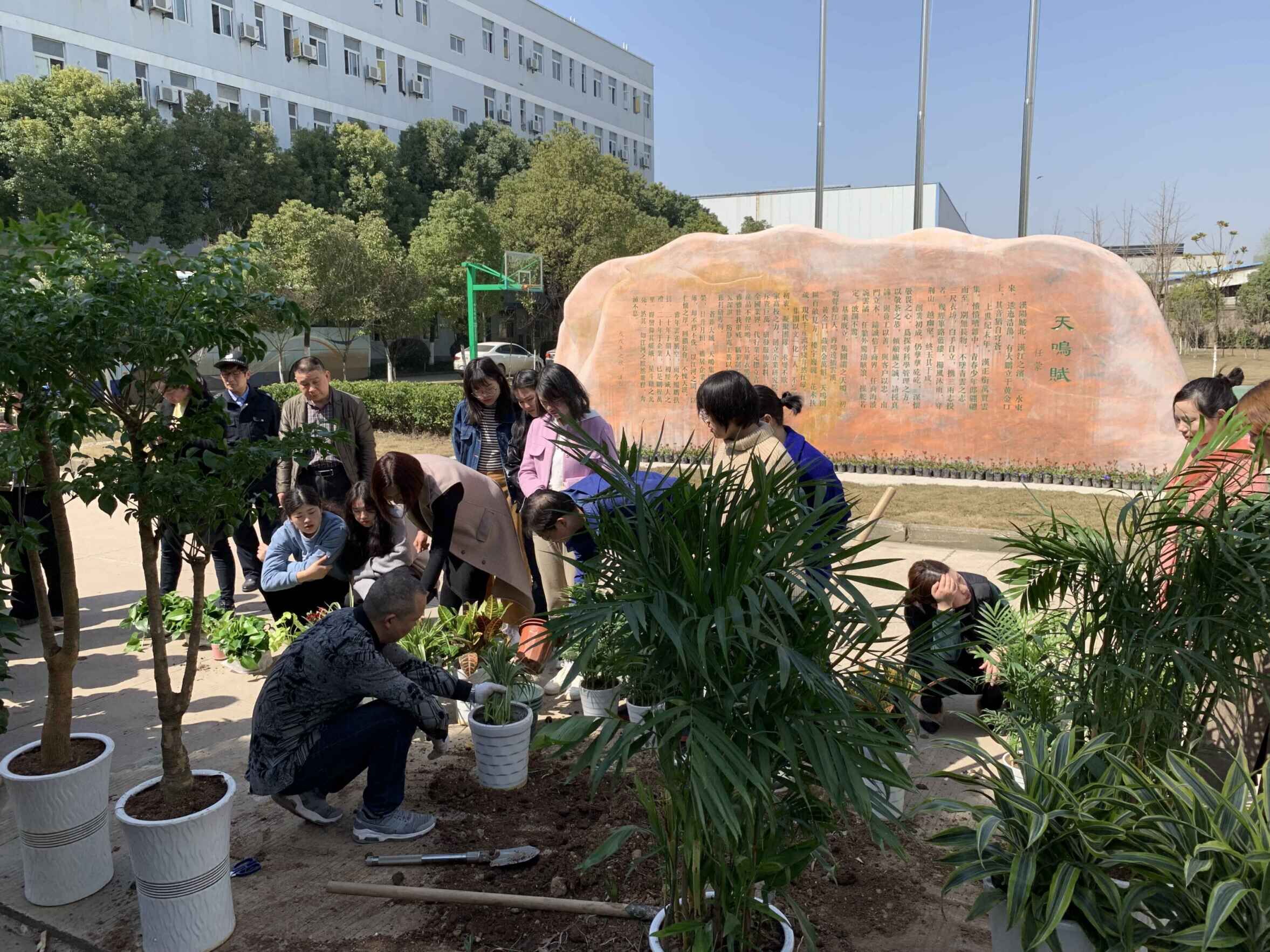 公司开展植树节活动